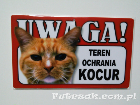 Tabliczka ostrzegawcza-"UWAGA! TEREN OCHRANIA KOCUR"/Kot Rudy