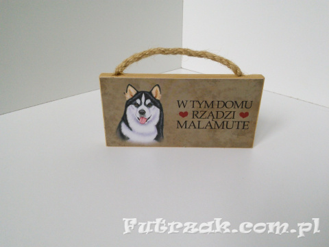 Tabliczka z magnesem-Malamute