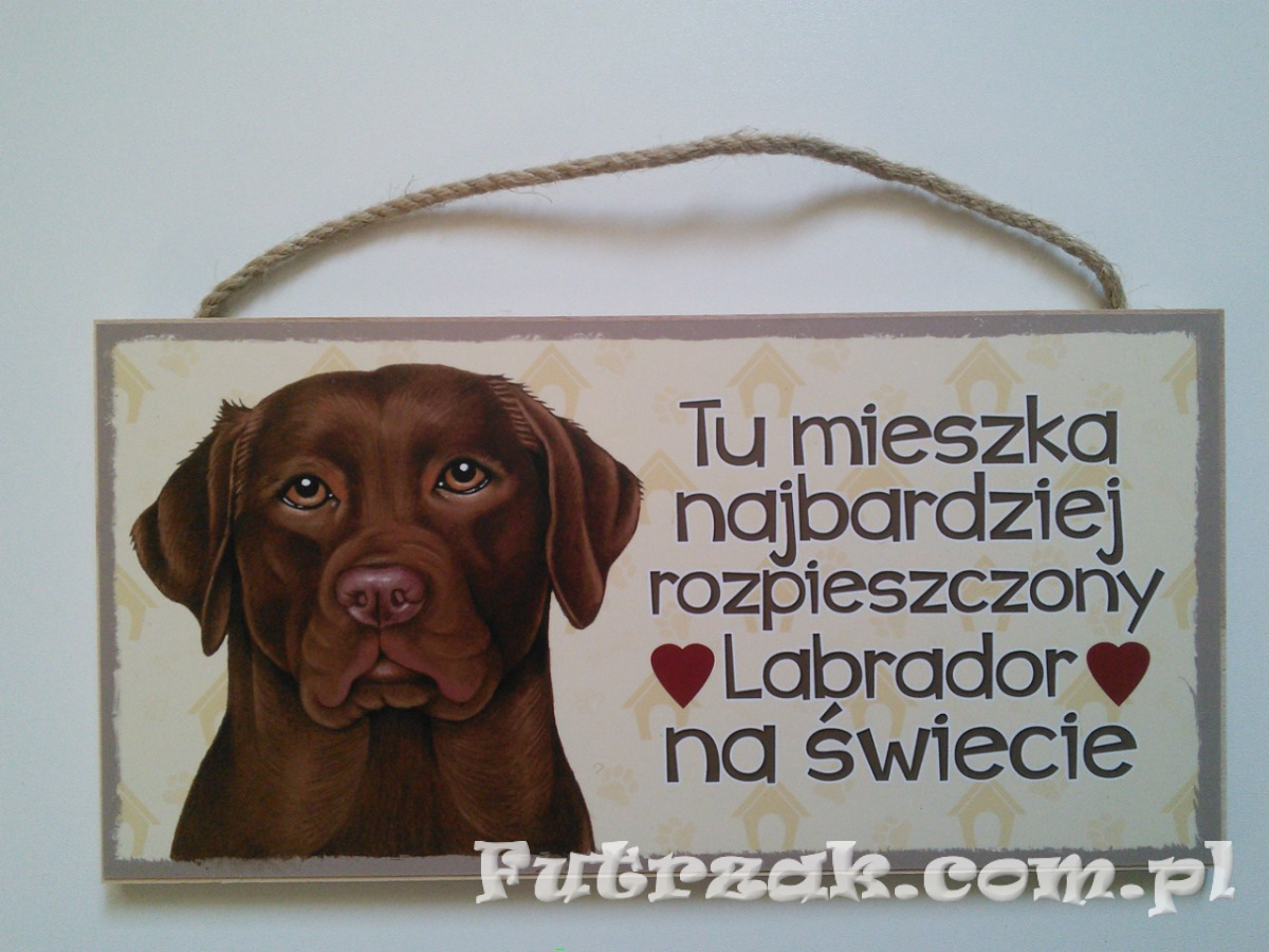 Tabliczka drewniana z motywem i napisem-Labrador Tabliczka drewniana z motywem i napisem-Labrador