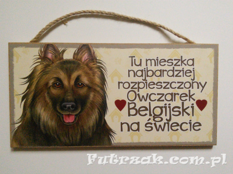 Tabliczka drewniana z motywem i napisem-Owczarek Belgijski Tabliczka drewniana z motywem i napisem-Owczarek Belgijski