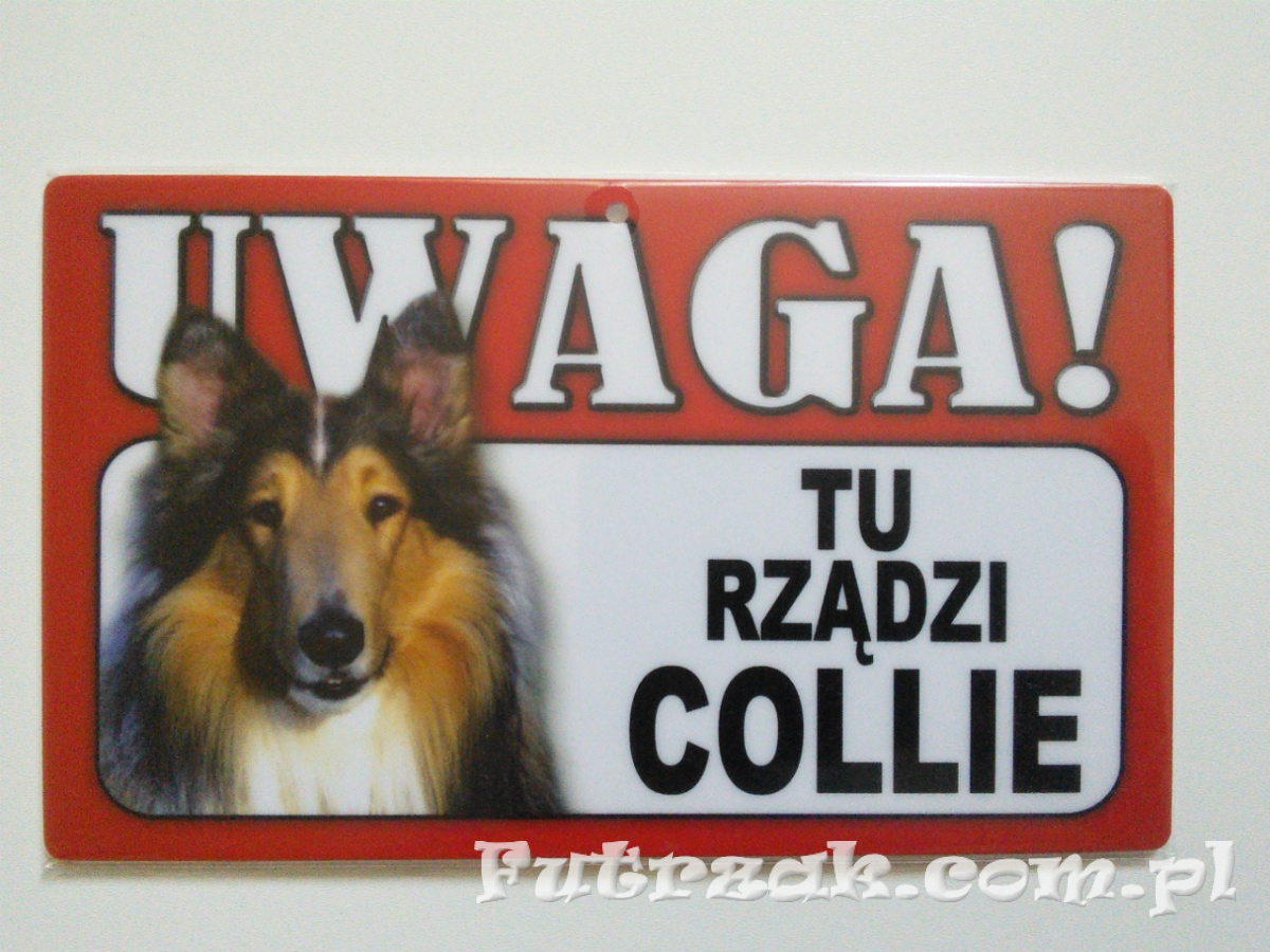 Tabliczka ostrzegawcza-"...TU RZĄDZI COLLIE" Tabliczka ostrzegawcza-"...TU RZĄDZI COLLIE"