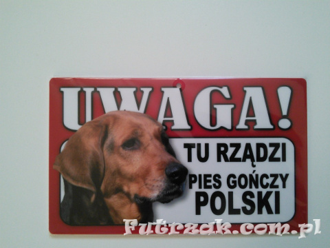 Tabliczka ostrzegawcza-"...TU RZĄDZI PIES GOŃCZY POLSKI" Tabliczka ostrzegawcza-"...TU RZĄDZI PIES GOŃCZY POLSKI"