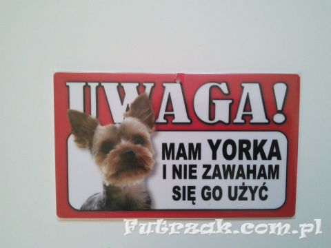 Tabliczka ostrzegawcza-"UWAGA! MAM YORKA..."