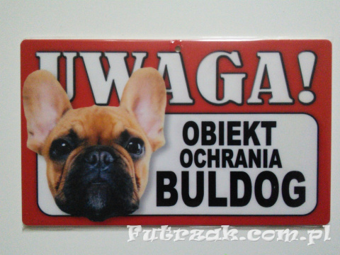 Tabliczka ostrzegawcza-"UWAGA! OBIEKT OCHRANIA BULDOG"