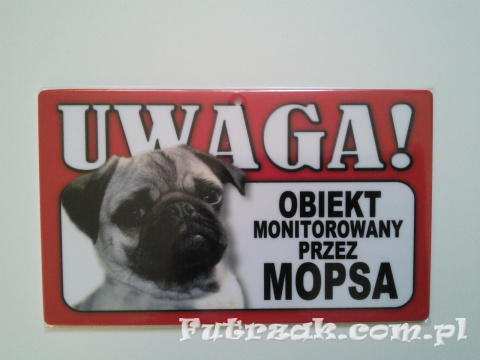 Tabliczka ostrzegawcza-"...OBIEKT MONITOROWANY..."/Mops