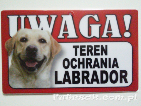 Tabliczka ostrzegawcza-"UWAGA! TEREN OCHRANIA LABRADOR"