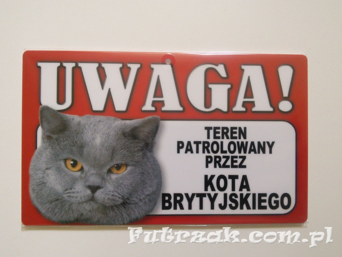 Tabliczka ostrzegawcza-"UWAGA! TEREN PATROLOWANY..."/Kot Brytyjski