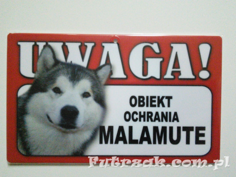 Tabliczka ostrzegawcza-"UWAGA! OBIEKT OCHRANIA MALAMUTE"