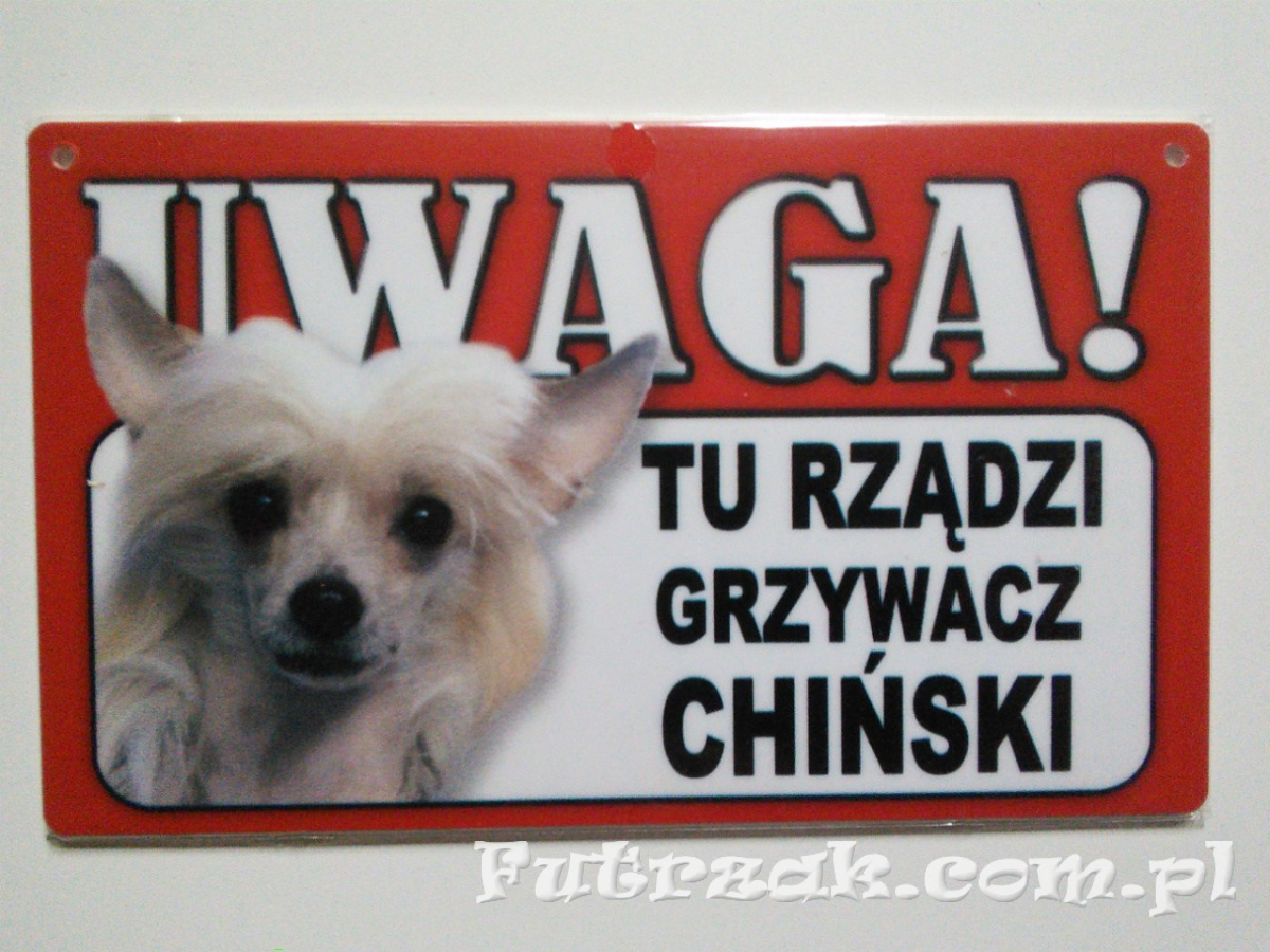 Tabliczka ostrzegawcza-"UWAGA! TU RZĄDZI GRZYWACZ CHIŃSKI" Tabliczka ostrzegawcza-"UWAGA! TU RZĄDZI GRZYWACZ CHIŃSKI"