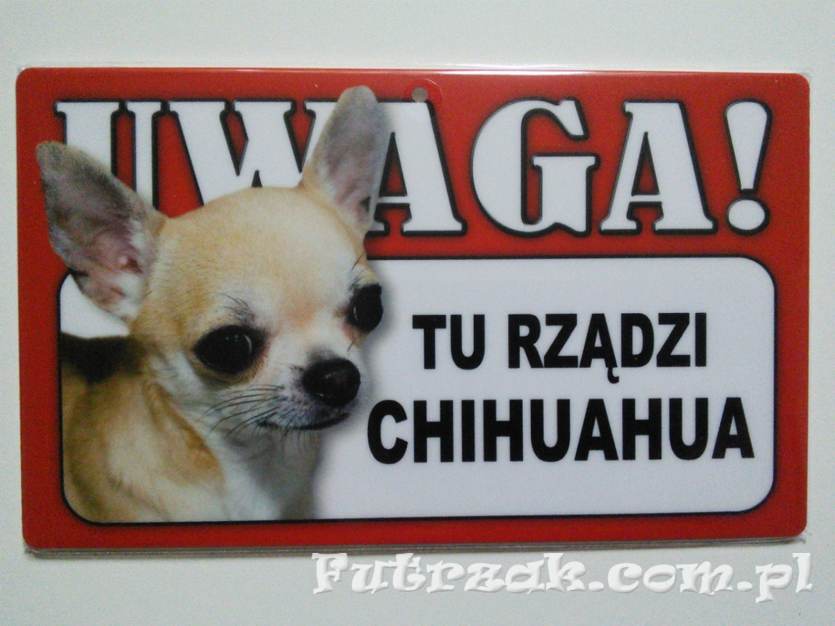Tabliczka ostrzegawcza-"UWAGA! TU RZĄDZI CHIHUAHUA" Tabliczka ostrzegawcza-"UWAGA! TU RZĄDZI CHIHUAHUA"