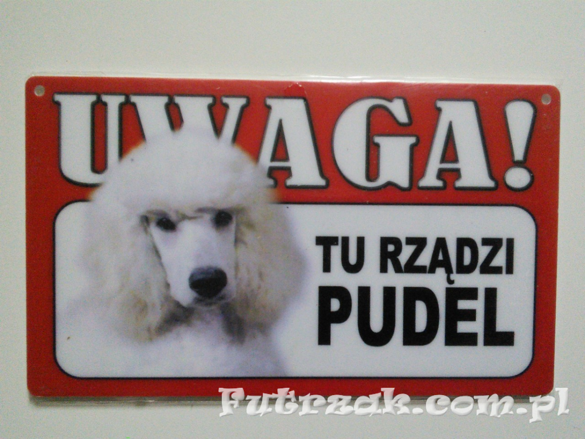 Tabliczka ostrzegawcza-"UWAGA! TU RZĄDZI PUDEL" Tabliczka ostrzegawcza-"UWAGA! TU RZĄDZI PUDEL"
