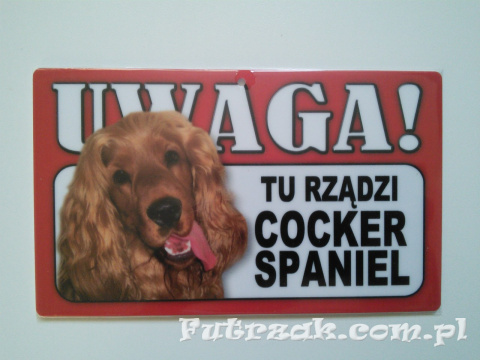 Tabliczka ostrzegawcza-"...TU RZĄDZI COCKER SPANIEL"