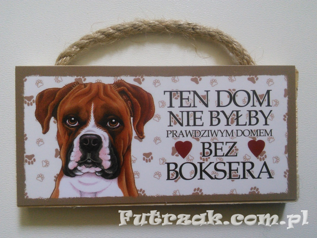 Tabliczka z magnesem-Bokser Tabliczka z magnesem-Bokser