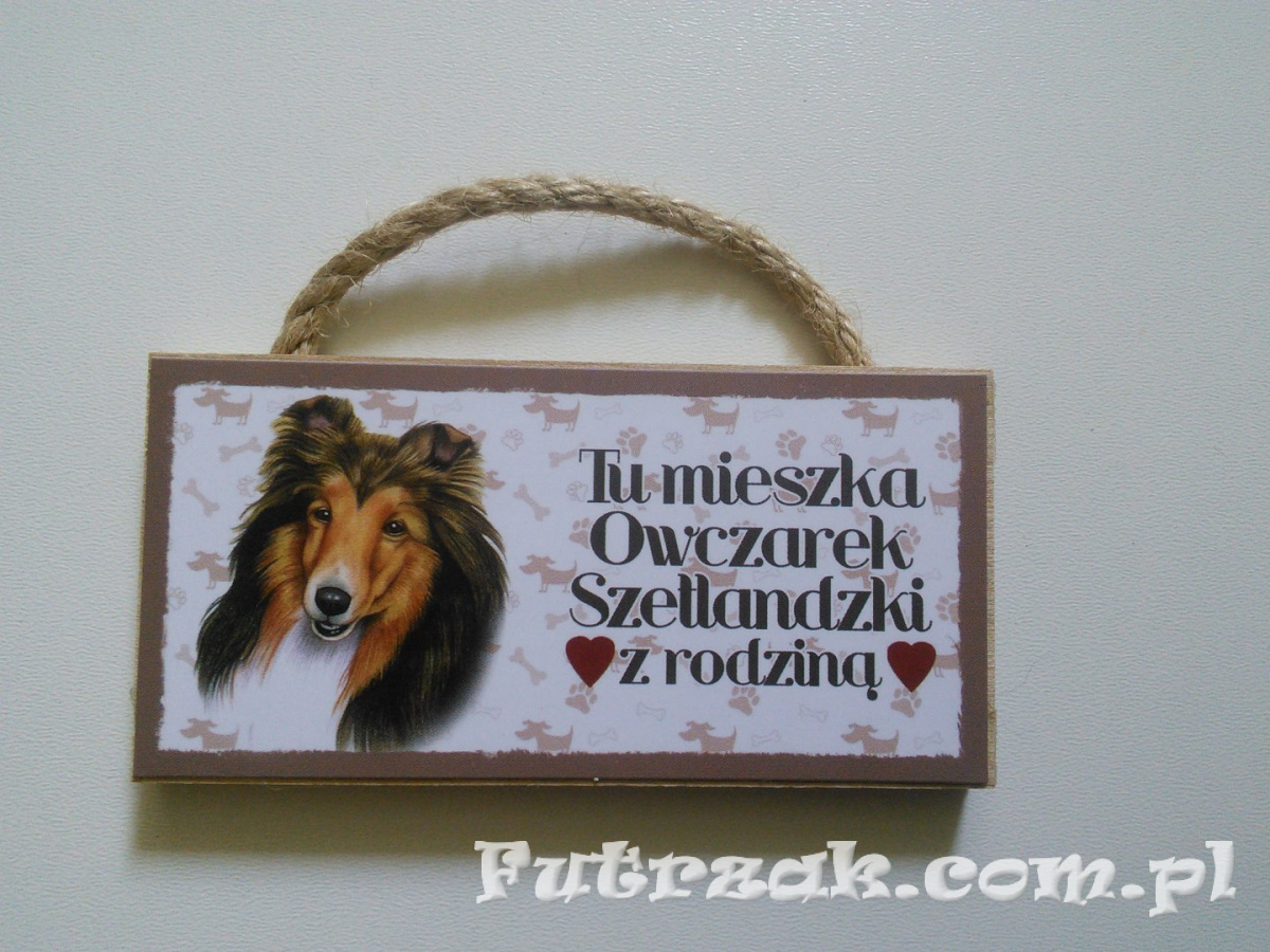 Tabliczka z magnesem-Owczarek Szetlandzki Tabliczka z magnesem-Owczarek Szetlandzki