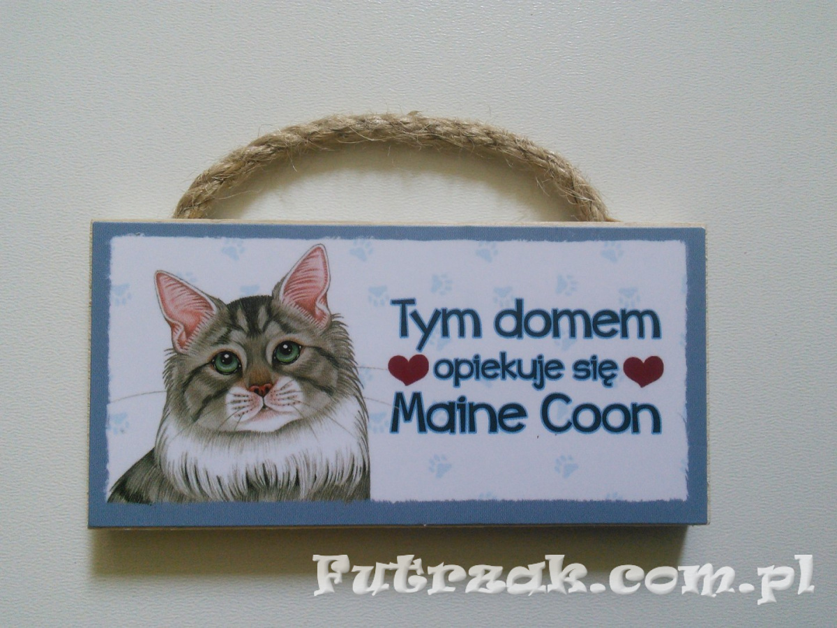 Tabliczka z magnesem-Maine Coon Tabliczka z magnesem-Maine Coon