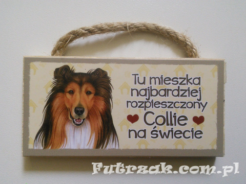 Tabliczka z magnesem-Collie