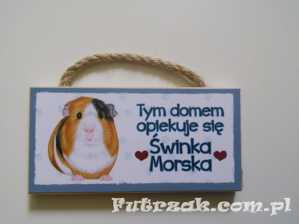 Tabliczka z magnesem-Świnka Morska Tabliczka z magnesem-Świnka Morska