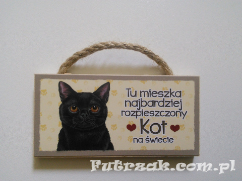 Tabliczka z magnesem-Kot Czarny Tabliczka z magnesem-Kot Czarny