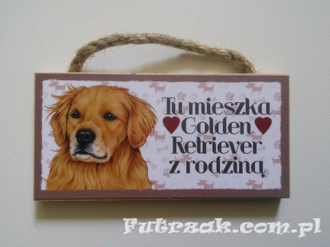 Tabliczka z magnesem-Golden Retriever