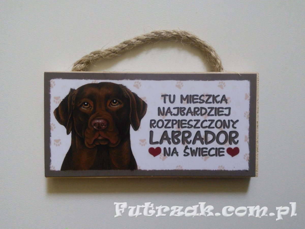 Tabliczka z magnesem-Labrador Tabliczka z magnesem-Labrador