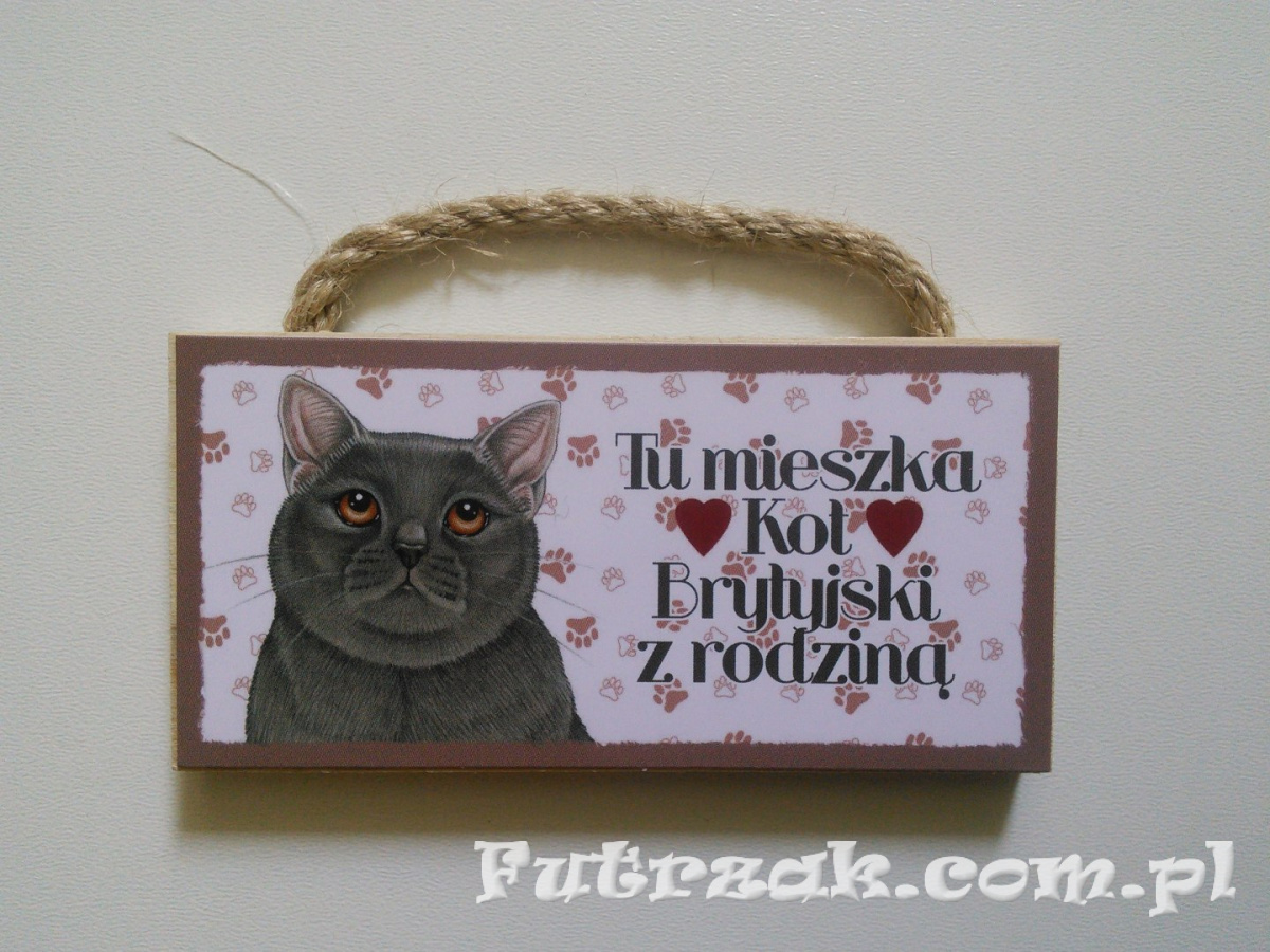Tabliczka z magnesem-Kot Brytyjski Tabliczka z magnesem-Kot Brytyjski