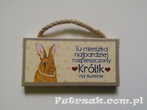Tabliczka z magnesem-Królik Tabliczka z magnesem-Królik