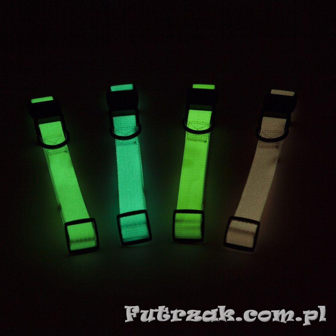 Obroża Max Glow/blue/medium Obroża Max Glow/blue/medium