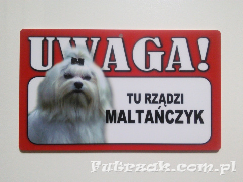 Tabliczka ostrzegawcza-"UWAGA! TU RZĄDZI MALTAŃCZYK" Tabliczka ostrzegawcza-"UWAGA! TU RZĄDZI MALTAŃCZYK"