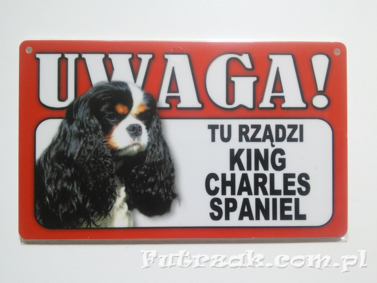 Tabliczka ostrzegawcza-"...TU RZĄDZI KING CHARLES SPANIEL" Tabliczka ostrzegawcza-"...TU RZĄDZI KING CHARLES SPANIEL"