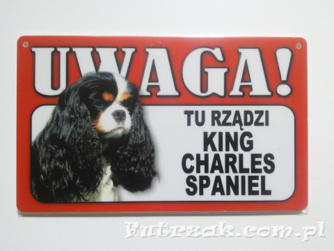 Tabliczka ostrzegawcza-"...TU RZĄDZI KING CHARLES SPANIEL"