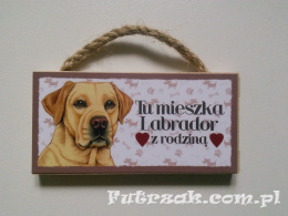 Tabliczka z magnesem-Labrador