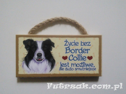 Tabliczka z magnesem-Border Collie