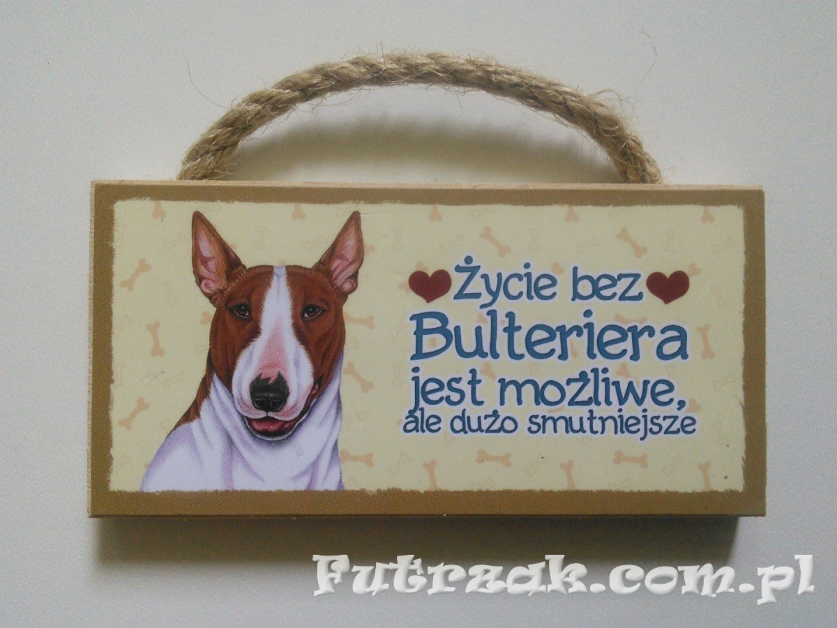 Tabliczka z magnesem-Bulterier Tabliczka z magnesem-Bulterier