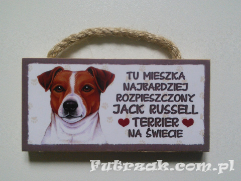 Tabliczka z magnesem-Jack Russell Terrier Tabliczka z magnesem-Jack Russell Terrier