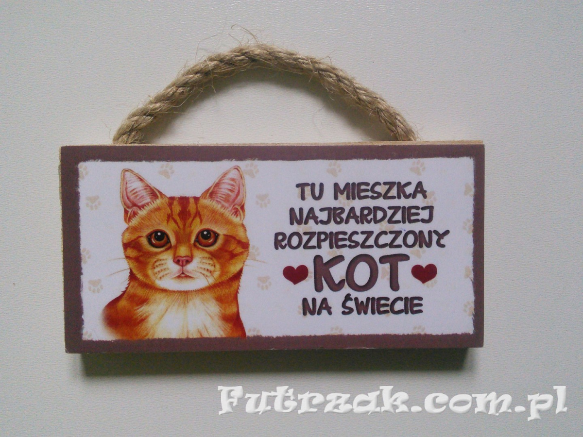 Tabliczka z magnesem-Kot Rudy Tabliczka z magnesem-Kot Rudy