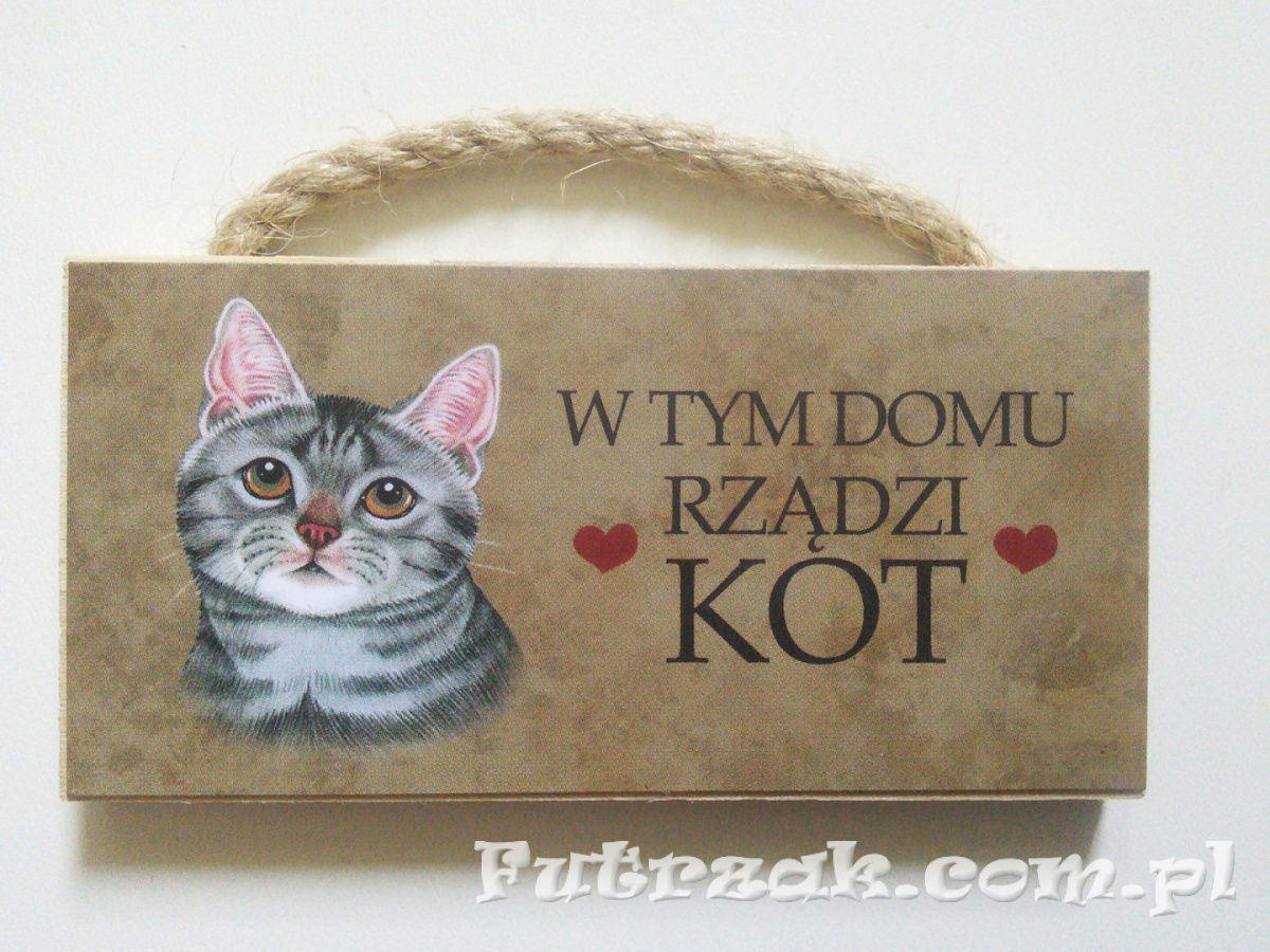 Tabliczka z magnesem-Kot Szary Tabliczka z magnesem-Kot Szary