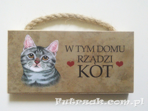 Tabliczka z magnesem-Kot Szary Tabliczka z magnesem-Kot Szary