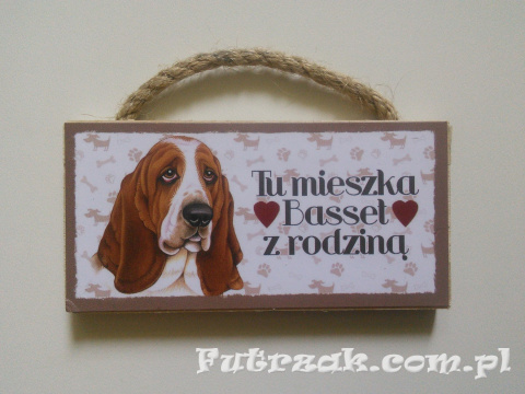 Tabliczka z magnesem-Basset