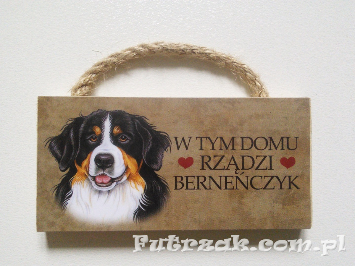 Tabliczka z magnesem-Berneńczyk Tabliczka z magnesem-Berneńczyk