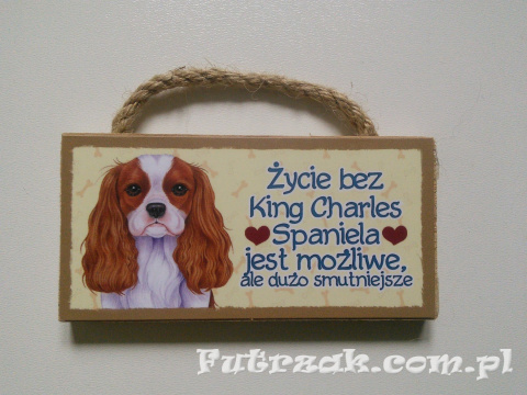 Tabliczka z magnesem-King Charles Spaniel Tabliczka z magnesem-King Charles Spaniel