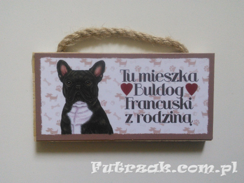 Tabliczka z magnesem-Buldog Francuski Tabliczka z magnesem-Buldog Francuski