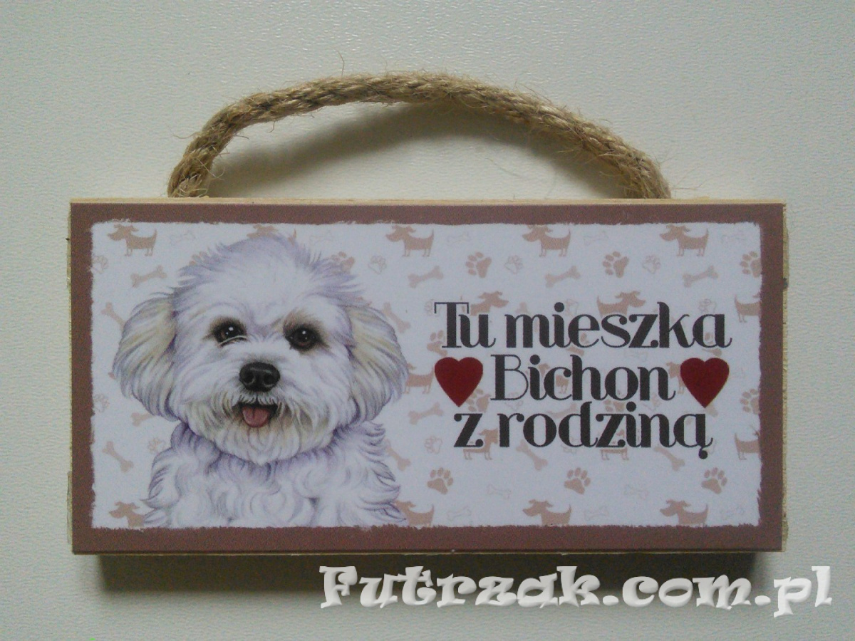 Tabliczka z magnesem-Bichon Tabliczka z magnesem-Bichon