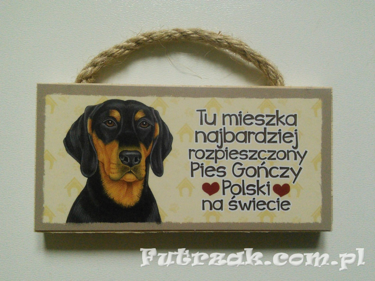 Tabliczka z magnesem-Pies Gończy Polski Tabliczka z magnesem-Pies Gończy Polski