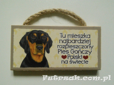 Tabliczka z magnesem-Pies Gończy Polski