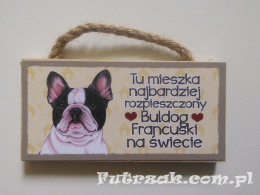 Tabliczka z magnesem-Buldog Francuski