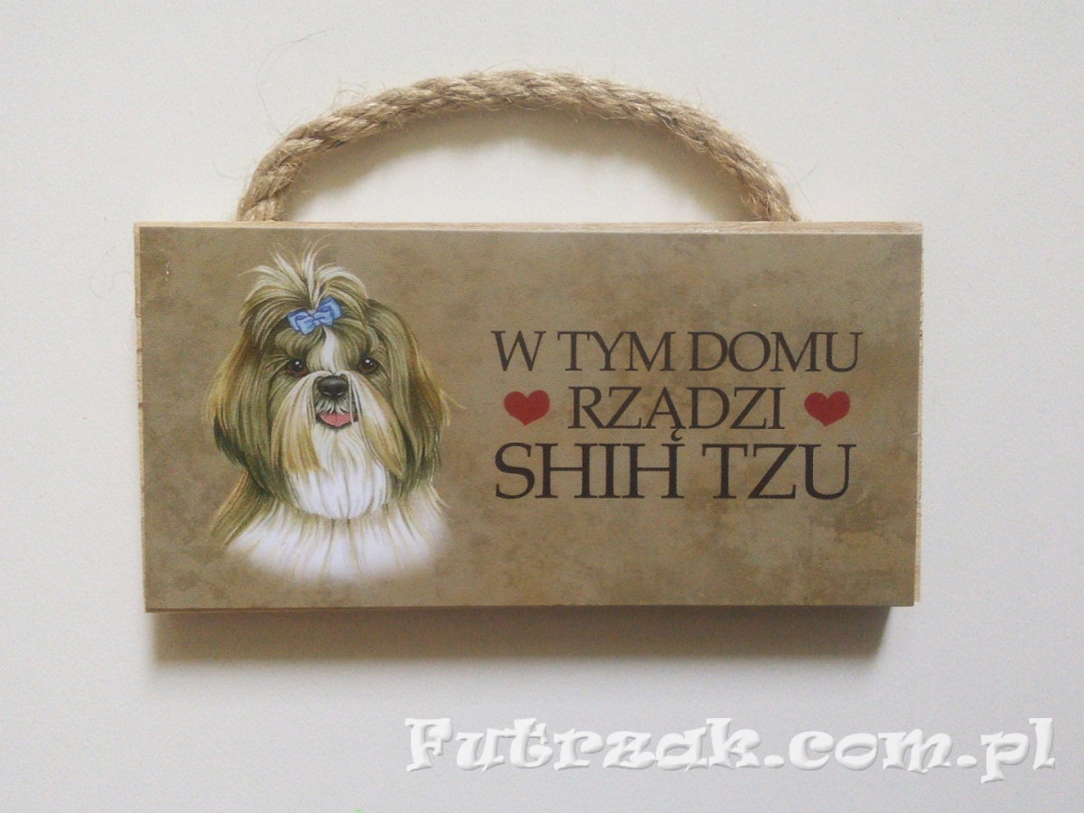 Tabliczka z magnesem-Shih Tzu Tabliczka z magnesem-Shih Tzu