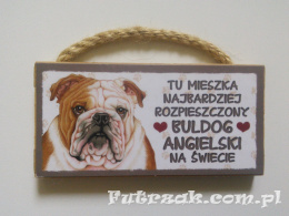 Tabliczka z magnesem-Buldog Angielski