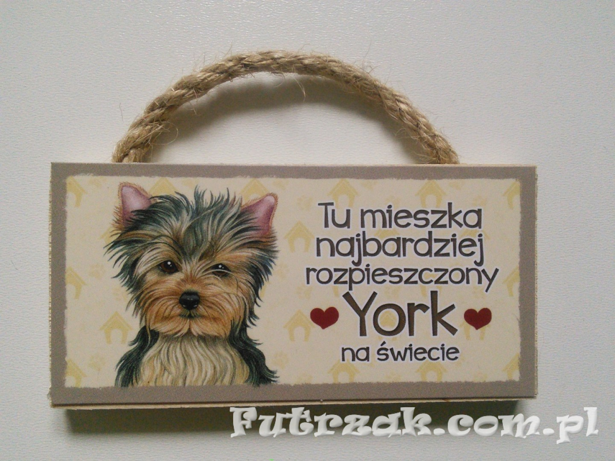 Tabliczka z magnesem-York Tabliczka z magnesem-York