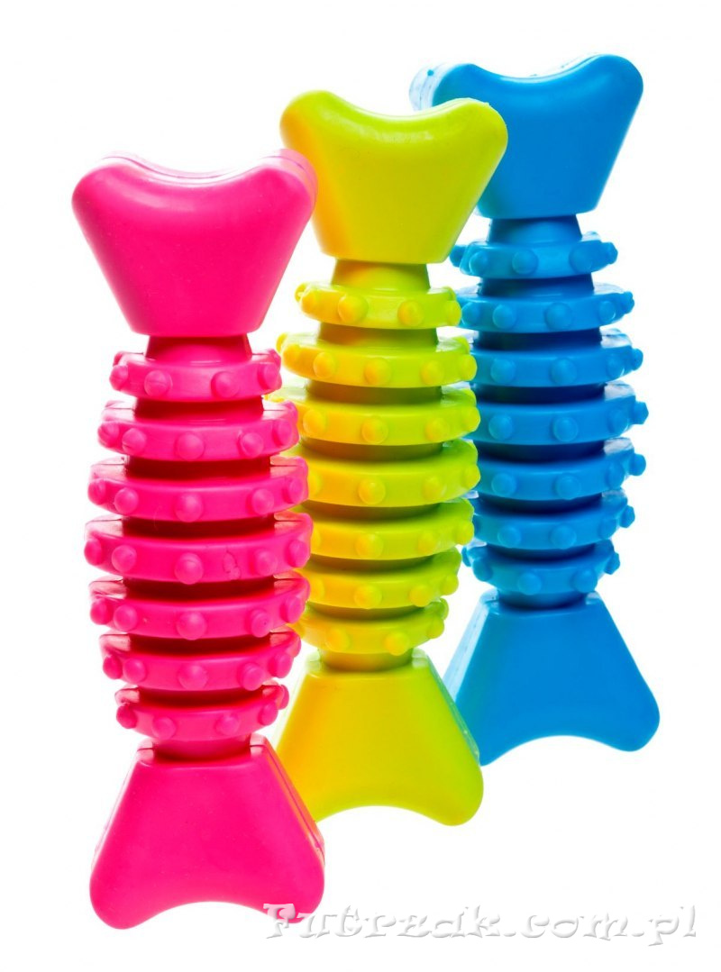 Dental Bone Dental Bone