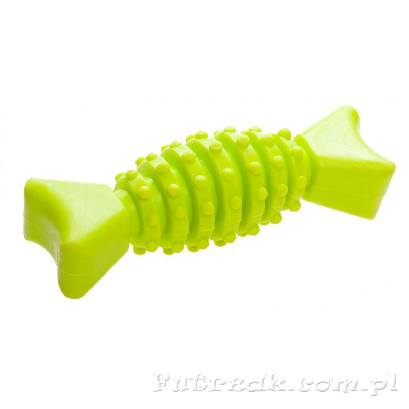 Dental Bone Dental Bone